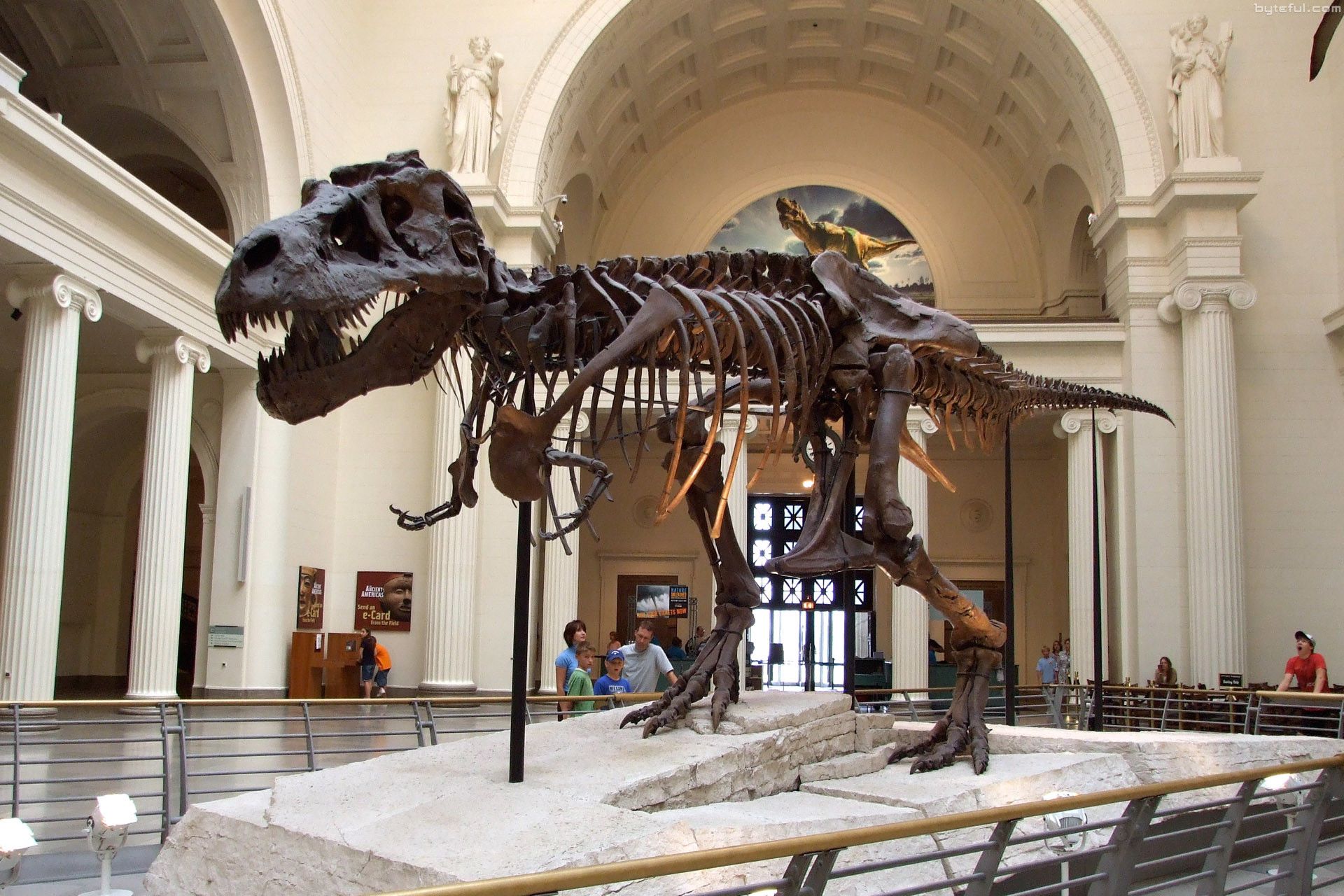 The Field Museum of Chicago