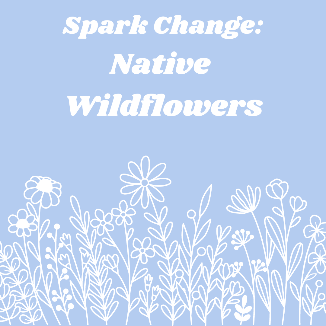 White text reading Spark Change: Native Wildflowers over a light blue background