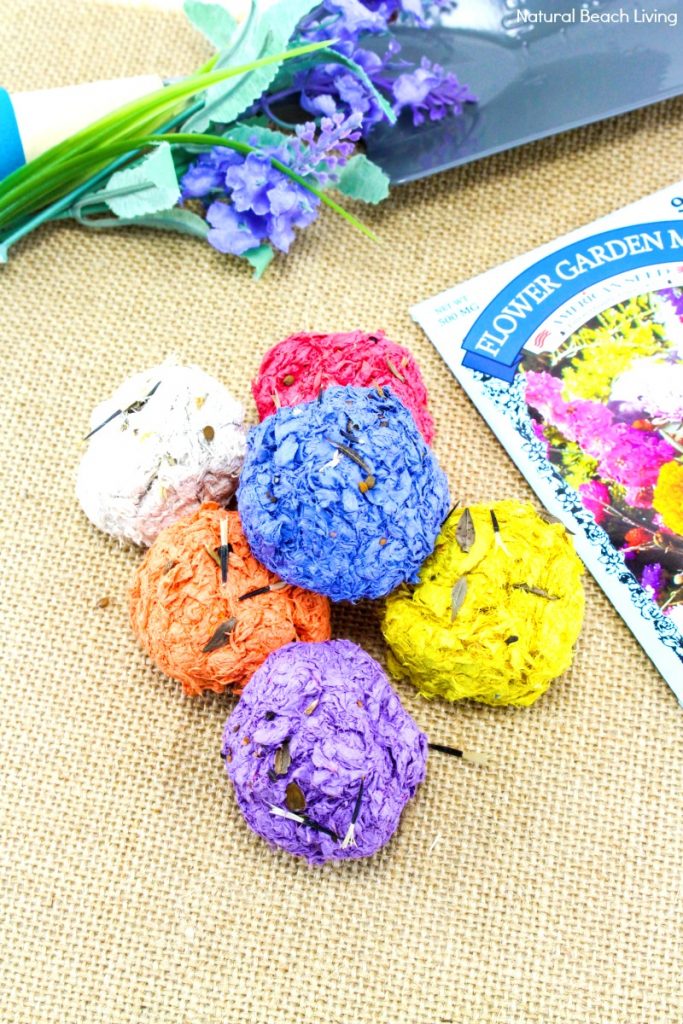 three colorful paper mache circles with a packet of seeds next to them