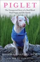 Picture of piglet, a little white dog wearing a blue sweater