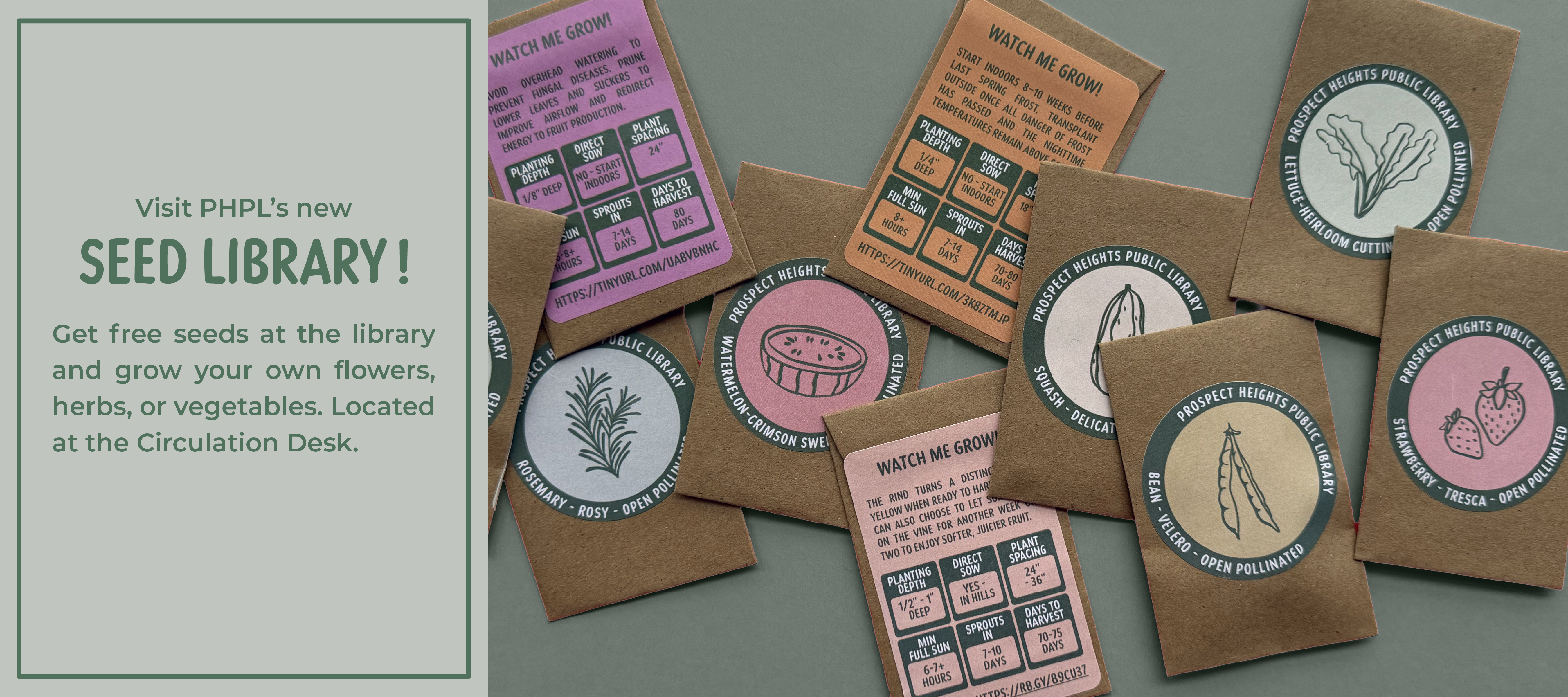 Packets of seeds with colorful labels for various fruits and vegetables.
