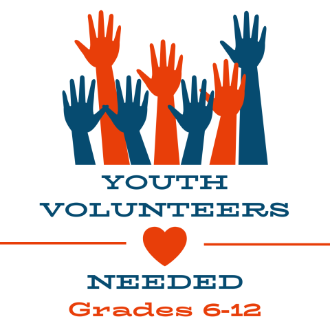 Youth Volunteers Needed