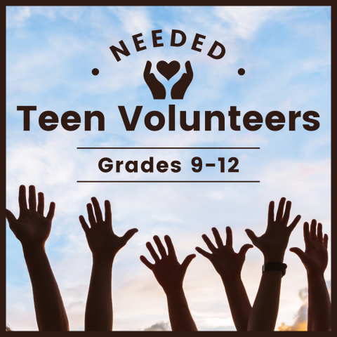 Teen Volunteers
