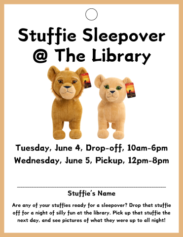 Stuffie Sleepover Drop-off