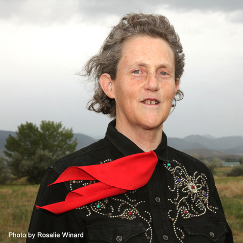 Photo of Temple Grandin