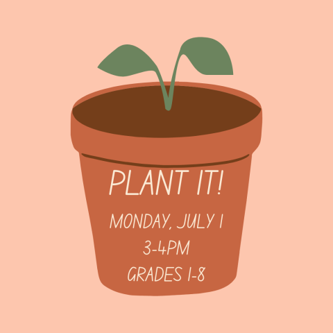 plant it, plants, recycle, reuse, prospect heights library, prospect heights, library