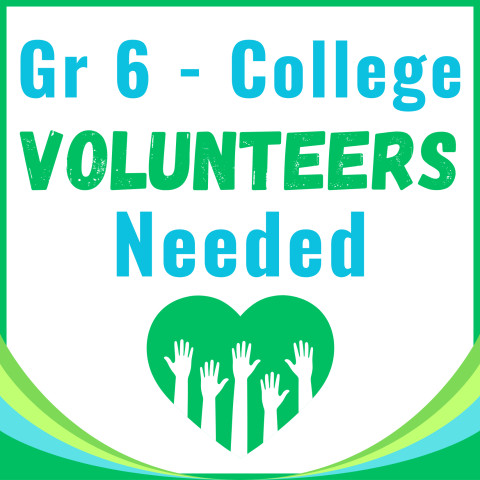 Volunteers Needed, Prospect Heights Public Library, youth, tweens, teens, college, Volunteers