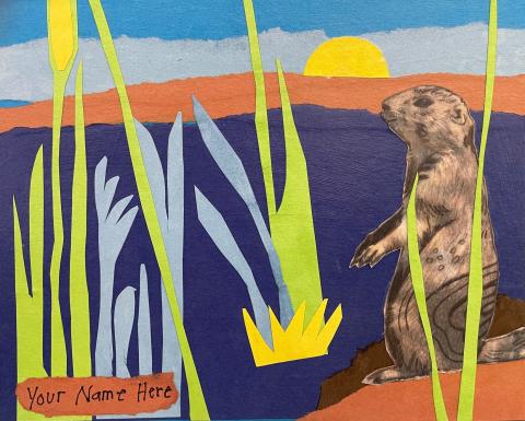 prairie dog in field collage