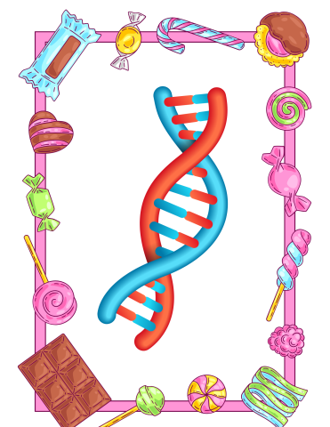 DNA helix framed by candies