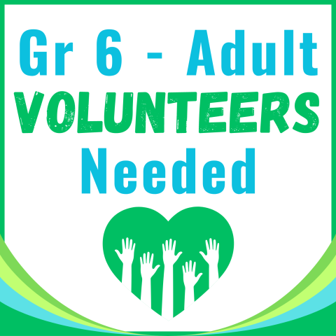 Volunteers Needed, Prospect Heights Public Library, youth, tweens, teens, adults, volunteers, fun, games, crafts, refreshments, activities, family fun