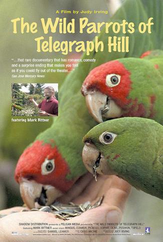 The Wild Parrots of Telegraph Hill.