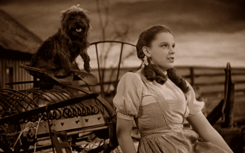 Dorothy and Toto from the Wizard of Oz.