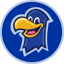 blue falcon logo from frost elementary school