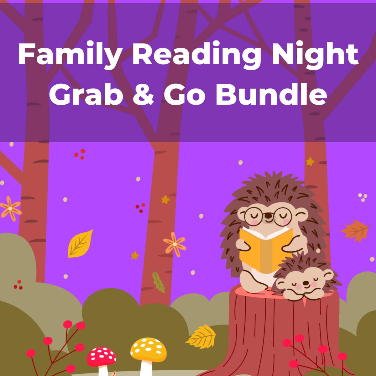 Family Reading Night, books, surprises, book Bundle, prospect Heights Public Library 