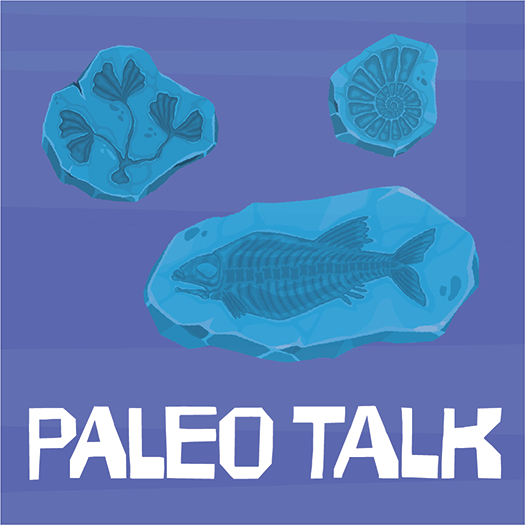 Buried fossils illustration.