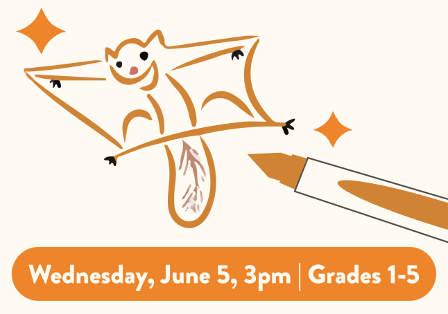 phpl, prospect heights public library, Andertoons Cartooning Workshop, draw, animals in action, cartoons, learn to draw, Youth